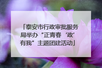 泰安市行政审批服务局举办“正青春‘政’有我”主题团建活动