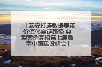 泰安打通数据要素价值化全链路径 典型案例亮相第七届数字中国建设峰会