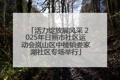 活力绽放展风采 2025年日照市社区运动会岚山区中楼镇娄家湖社区专场举行