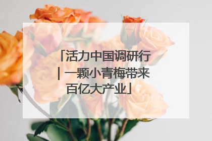 活力中国调研行｜一颗小青梅带来百亿大产业
