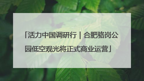 活力中国调研行｜合肥骆岗公园低空观光将正式商业运营
