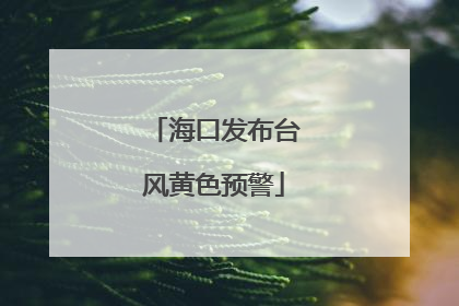 海口发布台风黄色预警
