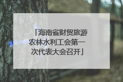 海南省财贸旅游农林水利工会第一次代表大会召开