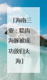海南三亚：糙齿海豚被成功放归大海
