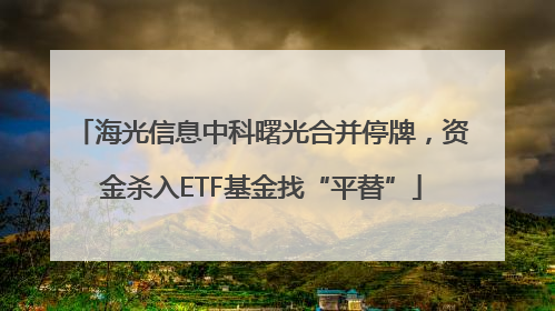 海光信息中科曙光合并停牌，资金杀入ETF基金找“平替”