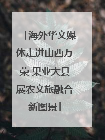 海外华文媒体走进山西万荣 果业大县展农文旅融合新图景