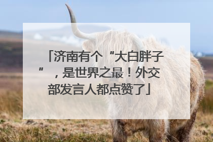 济南有个“大白胖子”，是世界之最！外交部发言人都点赞了