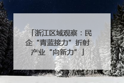 浙江区域观察：民企“青蓝接力”折射产业“向新力”