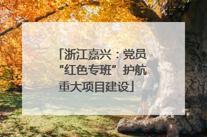 浙江嘉兴：党员“红色专班”护航重大项目建设