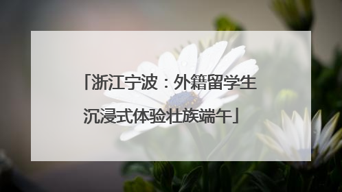 浙江宁波：外籍留学生沉浸式体验壮族端午