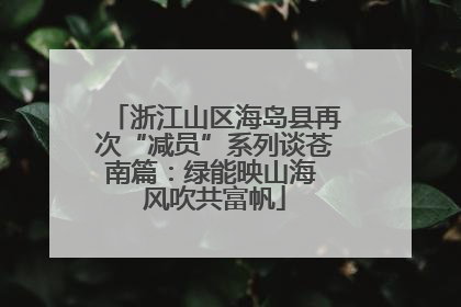 浙江山区海岛县再次“减员”系列谈苍南篇：绿能映山海 风吹共富帆