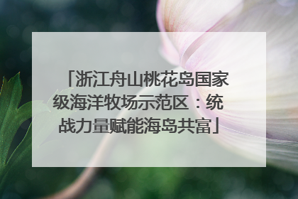浙江舟山桃花岛国家级海洋牧场示范区：统战力量赋能海岛共富