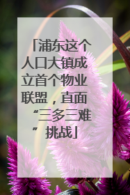浦东这个人口大镇成立首个物业联盟，直面“三多三难”挑战