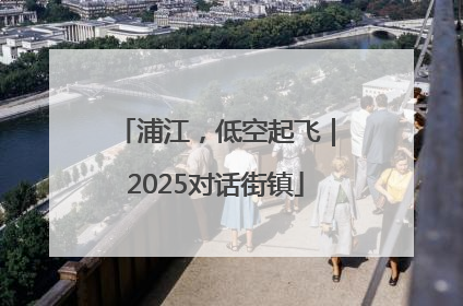 浦江，低空起飞｜2025对话街镇