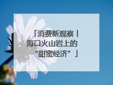 消费新观察丨海口火山岩上的“甜蜜经济”