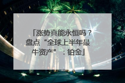 涨势真能永恒吗？盘点“全球上半年最牛资产”：铂金