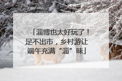 淄博也太好玩了！足不出市，乡村游让端午充满“淄”味