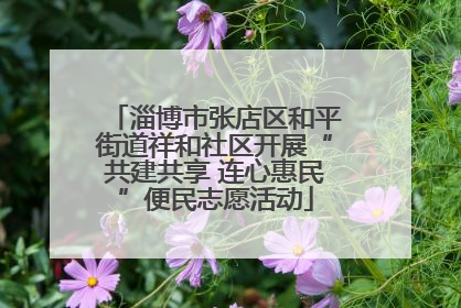 淄博市张店区和平街道祥和社区开展“共建共享 连心惠民”便民志愿活动