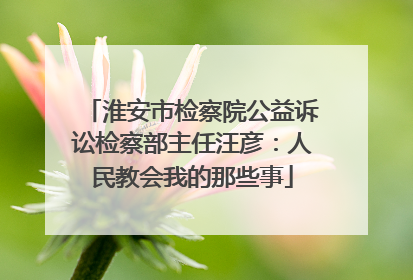 淮安市检察院公益诉讼检察部主任汪彦：人民教会我的那些事