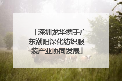 深圳龙华携手广东潮阳深化纺织服装产业协同发展