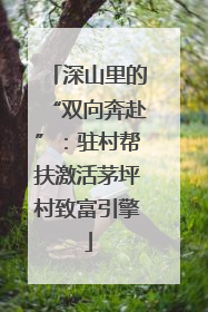 深山里的“双向奔赴”：驻村帮扶激活茅坪村致富引擎