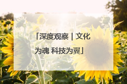 深度观察｜文化为魂 科技为翼
