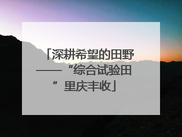 深耕希望的田野——“综合试验田”里庆丰收