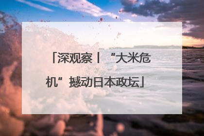 深观察丨“大米危机”撼动日本政坛