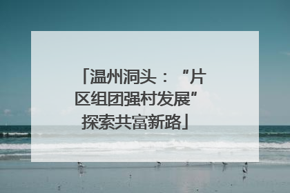 温州洞头：“片区组团强村发展”探索共富新路