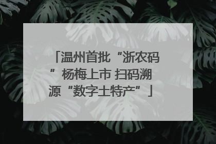 温州首批“浙农码”杨梅上市 扫码溯源“数字土特产”