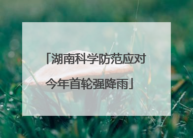 湖南科学防范应对今年首轮强降雨
