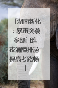 湖南新化：暴雨突袭 多部门连夜清障排涝保高考路畅