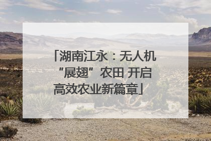 湖南江永：无人机“展翅”农田 开启高效农业新篇章
