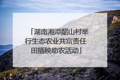 湖南湘潭韶山村举行生态农业共富责任田插秧助农活动