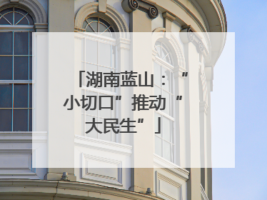湖南蓝山：“小切口”推动“大民生”
