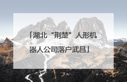 湖北“荆楚”人形机器人公司落户武昌