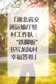 湖北省交通运输厅驻村工作队：“铁脚板”书写龙凤村幸福答卷