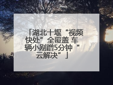 湖北十堰“视频快处”全覆盖 车辆小剐蹭5分钟“云解决”