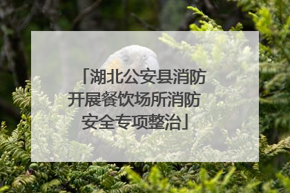 湖北公安县消防开展餐饮场所消防安全专项整治