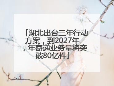 湖北出台三年行动方案，到2027年，年寄递业务量将突破80亿件
