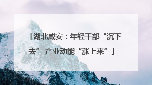 湖北咸安：年轻干部“沉下去” 产业动能“涨上来”