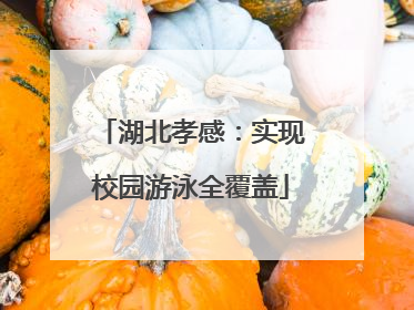 湖北孝感：实现校园游泳全覆盖