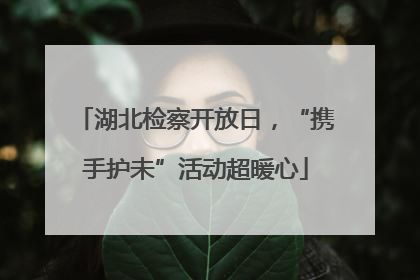 湖北检察开放日，“携手护未”活动超暖心