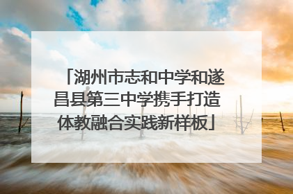 湖州市志和中学和遂昌县第三中学携手打造体教融合实践新样板