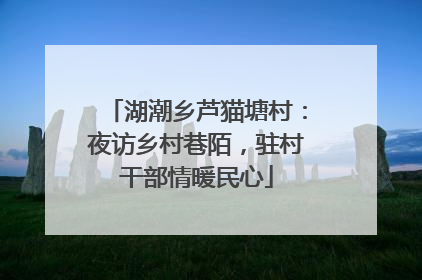 湖潮乡芦猫塘村：夜访乡村巷陌，驻村干部情暖民心