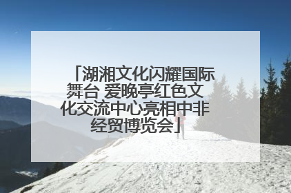 湖湘文化闪耀国际舞台 爱晚亭红色文化交流中心亮相中非经贸博览会