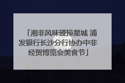 湘非风味碰撞星城 浦发银行长沙分行协办中非经贸博览会美食节