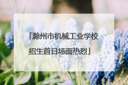 滁州市机械工业学校招生首日场面热烈