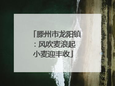 滕州市龙阳镇：风吹麦浪起 小麦迎丰收