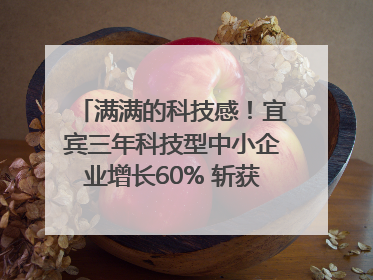 满满的科技感！宜宾三年科技型中小企业增长60% 斩获部省科技奖6项｜您牵挂的四川